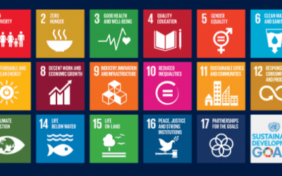 Teaching the UN Sustainable Goals
