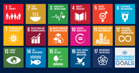 Teaching the UN Sustainable Goals