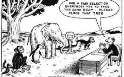 Stop Damaging our Education Systems