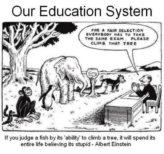 Stop Damaging our Education Systems